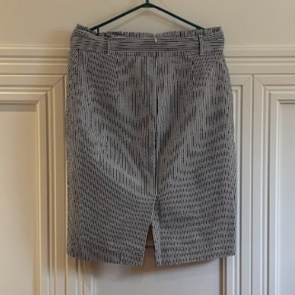 Ann Taylor Striped Skirt - Size 10 - Picture 2 of 5